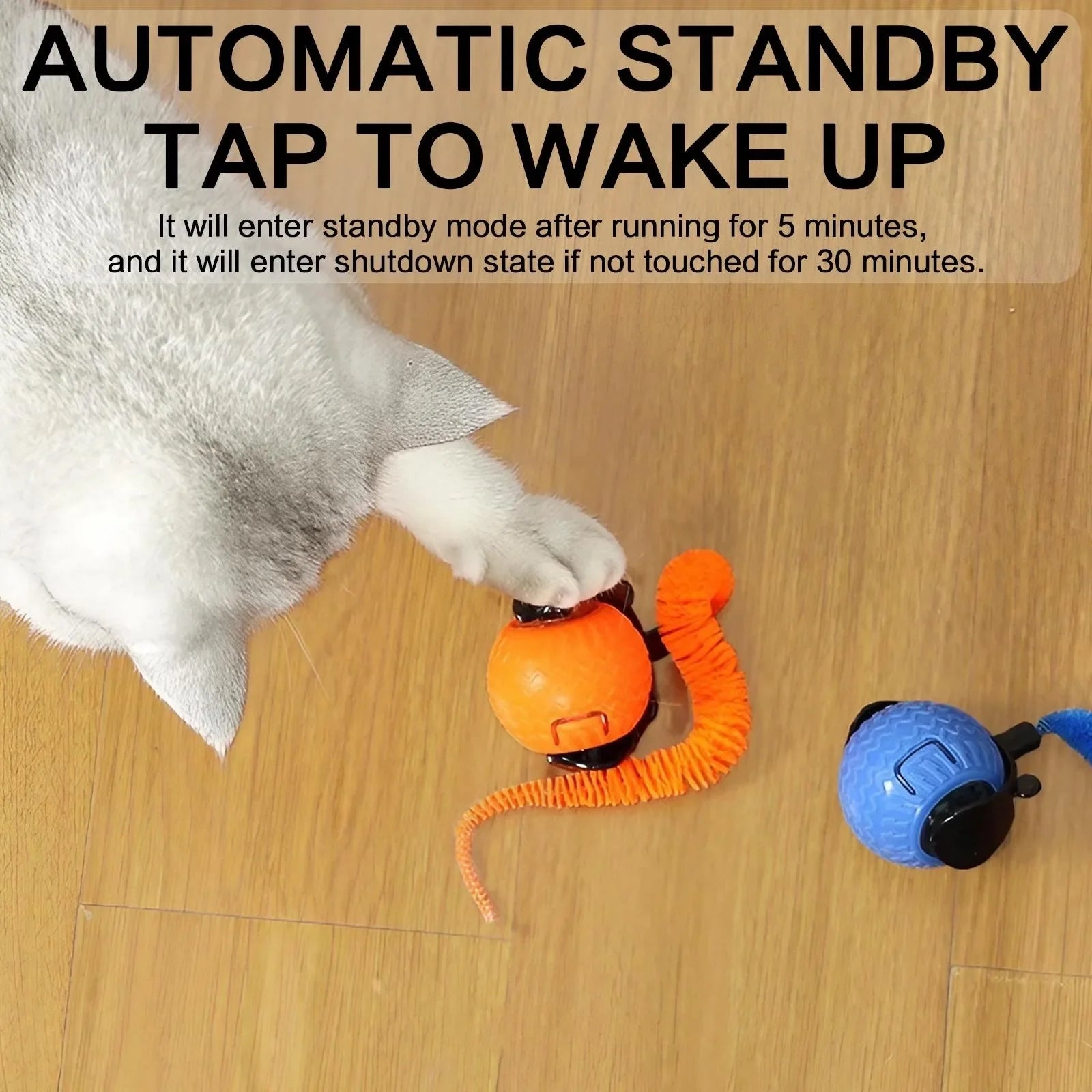 WaveChase™ Smart Pet Ball 🐾⚡ Moves. Teases. Excites.